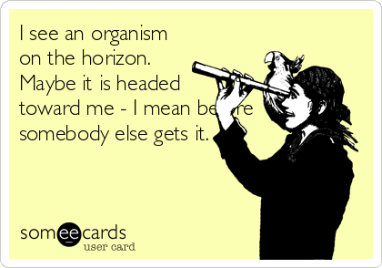 I see an organism
on the horizon.
Maybe it is headed
toward me - I mean before
somebody else gets it.