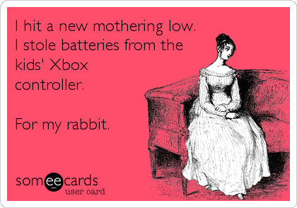I hit a new mothering low.  
I stole batteries from the
kids' Xbox
controller.

For my rabbit.