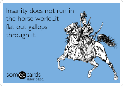 Insanity does not run in
the horse world...it
flat out gallops
through it.