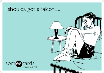 I shoulda got a falcon.....