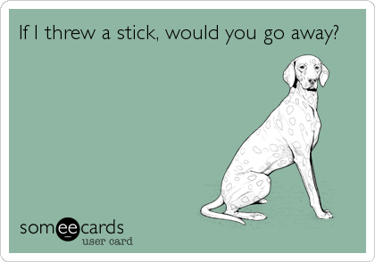 If I threw a stick, would you go away?