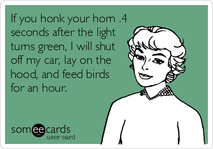 If you honk your horn .4
seconds after the light
turns green, I will shut
off my car, lay on the
hood, and feed birds
for an hour.