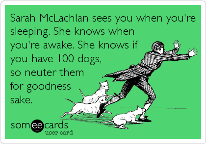 Sarah McLachlan sees you when you're
sleeping. She knows when
you're awake. She knows if
you have 100 dogs,
so neuter them
for goodness
sake.