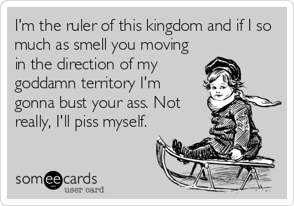 I'm the ruler of this kingdom and if I so
much as smell you moving
in the direction of my
goddamn territory I'm
gonna bust your ass. Not
really, I'll piss myself.