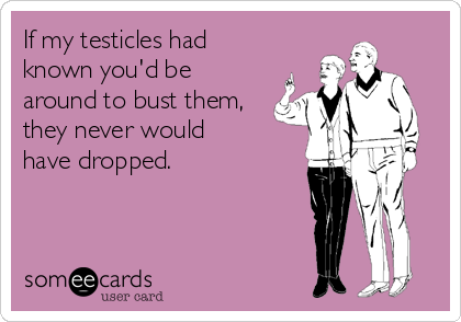 If my testicles had
known you'd be
around to bust them,
they never would
have dropped.