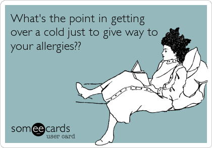 What's the point in getting
over a cold just to give way to
your allergies??