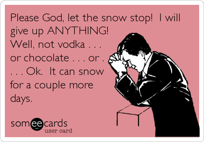 Please God, let the snow stop!  I will
give up ANYTHING! 
Well, not vodka . . .
or chocolate . . . or .
. . . Ok.  It can snow
for a couple more
days.