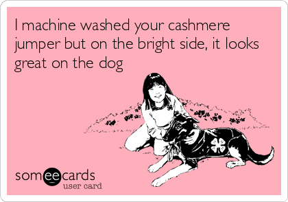 I machine washed your cashmere
jumper but on the bright side, it looks
great on the dog