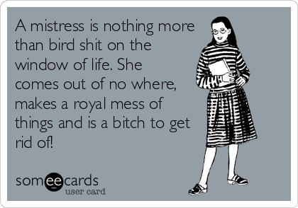 A mistress is nothing more
than bird shit on the
window of life. She
comes out of no where,
makes a royal mess of
things and is a bitch to get
rid of!