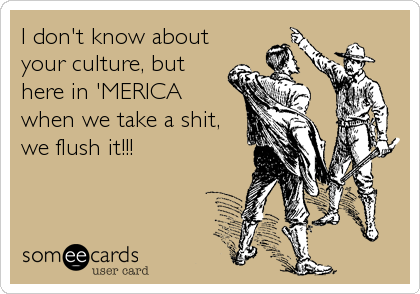 I don't know about
your culture, but
here in 'MERICA
when we take a shit,
we flush it!!!