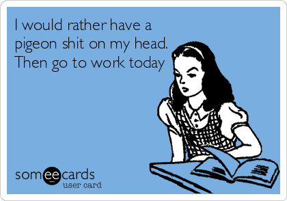 I would rather have a
pigeon shit on my head.
Then go to work today