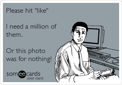 Please hit "like"

I need a million of
them..

Or this photo
was for nothing!