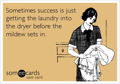 Sometimes success is just
getting the laundry into 
the dryer before the
mildew sets in.