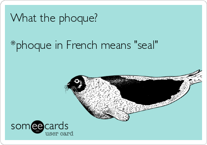 What the phoque?

*phoque in French means "seal"