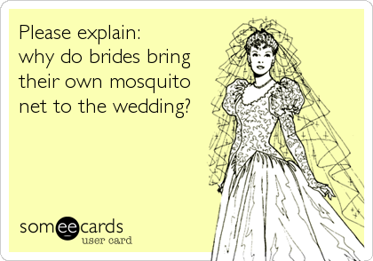 Please explain: 
why do brides bring
their own mosquito
net to the wedding?
