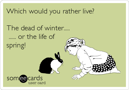 Which would you rather live?

The dead of winter.....
 ...... or the life of
spring!