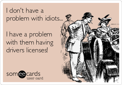 I don't have a
problem with idiots...

I have a problem
with them having
drivers licenses!
