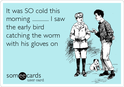 It was SO cold this
morning .............. I saw
the early bird
catching the worm
with his gloves on