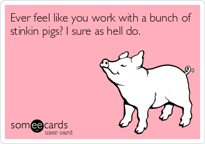Ever feel like you work with a bunch of
stinkin pigs? I sure as hell do.