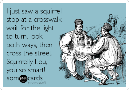 I just saw a squirrel
stop at a crosswalk,
wait for the light
to turn, look
both ways, then
cross the street.
Squirrelly Lou,<br %2
