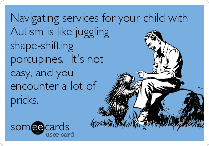 Navigating services for your child with Autism is like juggling shape-shifting porcupines.  It's not easy, and you encounter a lot of pricks.