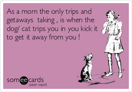 As a mom the only trips and
getaways  taking , is when the
dog/ cat trips you in you kick it
to get it away from you !
