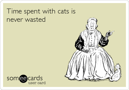 Time spent with cats is
never wasted
