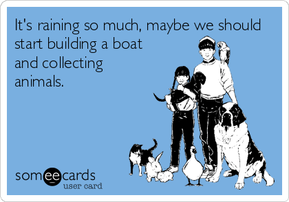 It's raining so much, maybe we should
start building a boat 
and collecting 
animals.