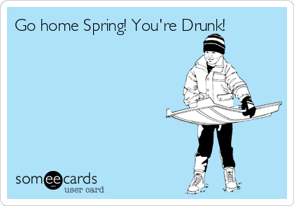 Go home Spring! You're Drunk!