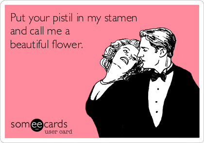 Put your pistil in my stamen
and call me a
beautiful flower.
