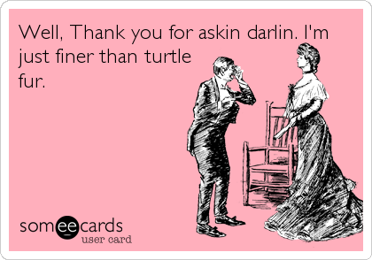 Well, Thank you for askin darlin. I'm
just finer than turtle
fur.