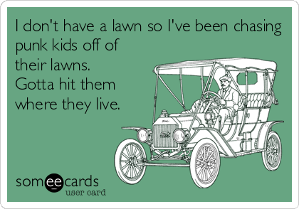 I don't have a lawn so I've been chasing
punk kids off of
their lawns.
Gotta hit them
where they live.