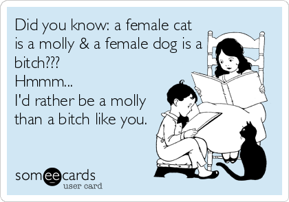 Did you know: a female cat
is a molly & a female dog is a
bitch???
Hmmm...
I'd rather be a molly
than a bitch like you.
