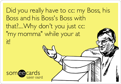 Did you really have to cc: my Boss, his
Boss and his Boss's Boss with
that?....Why don't you just cc:
"my momma" while your at
it!