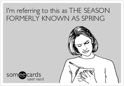 I'm referring to this as THE SEASON
FORMERLY KNOWN AS SPRING