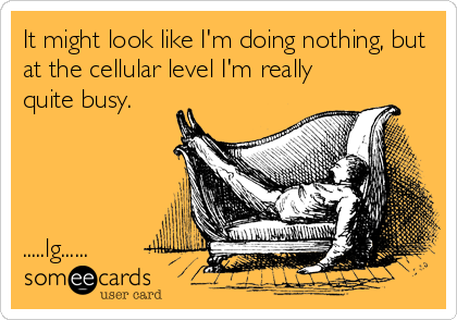 It might look like I'm doing nothing, but
at the cellular level I'm really
quite busy.




.....lg......