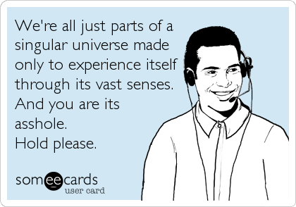 We're all just parts of a
singular universe made
only to experience itself 
through its vast senses.
And you are its
asshole. 
Hold please.