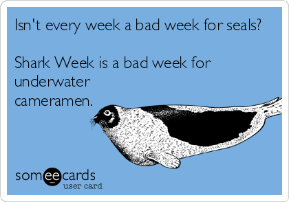Isn't every week a bad week for seals?

Shark Week is a bad week for
underwater
cameramen.
