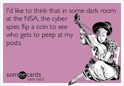 I'd like to think that in some dark room
at the NSA, the cyber
spies flip a coin to see
who gets to peep at my
posts.