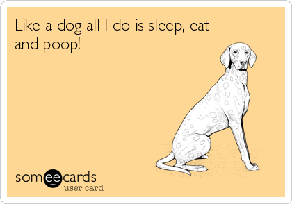 Like a dog all I do is sleep, eat
and poop!