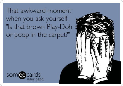 That awkward moment
when you ask yourself, 
"Is that brown Play-Doh
or poop in the carpet?"
