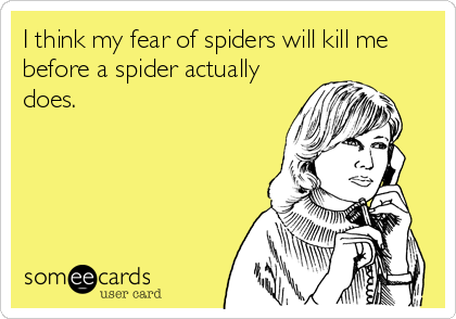I think my fear of spiders will kill me
before a spider actually
does.