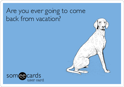 Are you ever going to come
back from vacation?