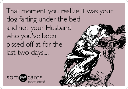 That moment you realize it was your
dog farting under the bed
and not your Husband
who you've been
pissed off at for the
last two days....