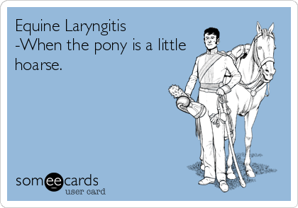 Equine Laryngitis
-When the pony is a little
hoarse.