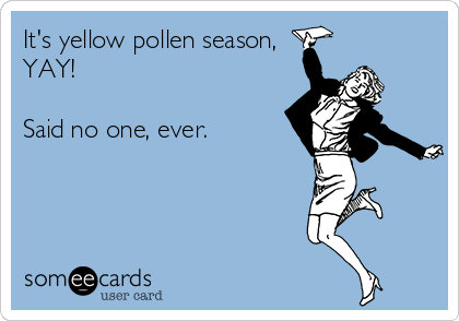 It's yellow pollen season, 
YAY!

Said no one, ever.