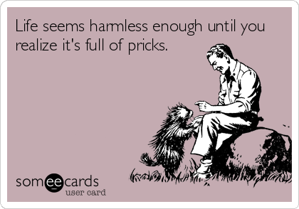 Life seems harmless enough until you
realize it's full of pricks.