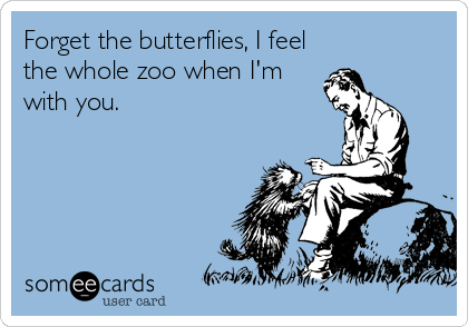 Forget the butterflies, I feel
the whole zoo when I'm
with you.
