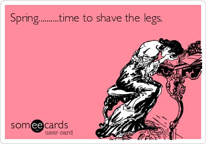 Spring..........time to shave the legs.