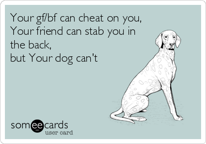Your gf/bf can cheat on you,  
Your friend can stab you in
the back,
but Your dog can't
